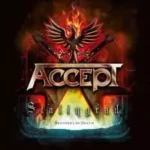 accept stalingrad cover