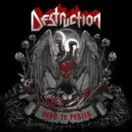 destruction born to cover