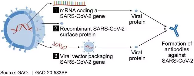 sars corona