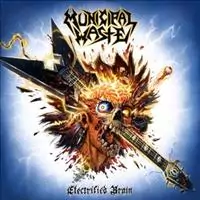 municipal electrified cover